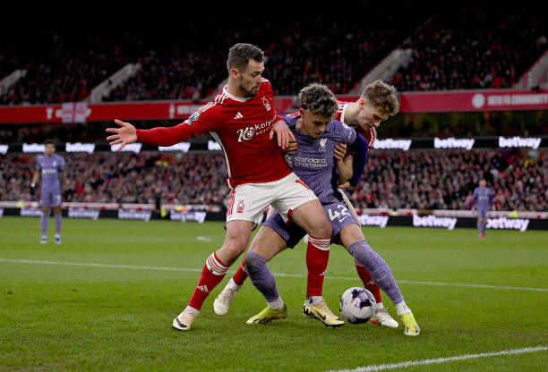 多媒體的關 多媒體的關