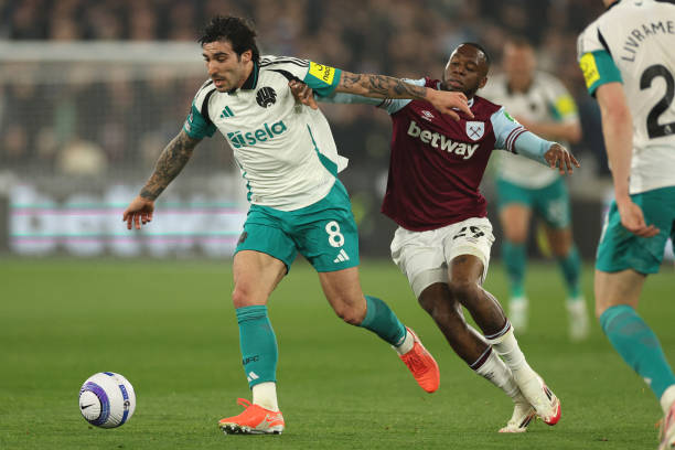 也离不开观 也离不开观